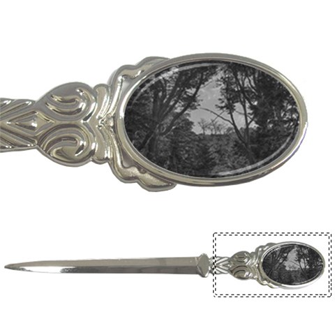 Patagonia Forest, Nahuel Huapi National Park, Rio Negro, Argentina Letter Opener from ArtsNow.com Front