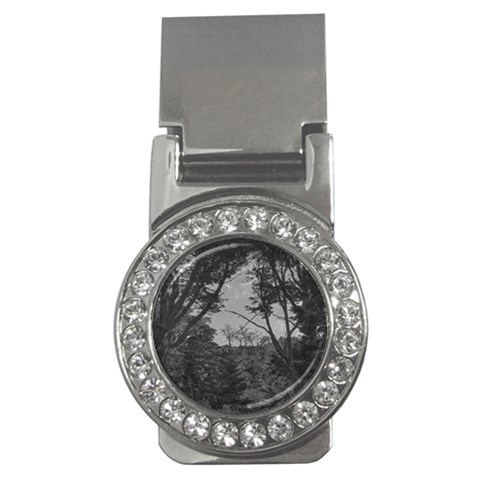 Patagonia Forest, Nahuel Huapi National Park, Rio Negro, Argentina Money Clips (CZ)  from ArtsNow.com Front