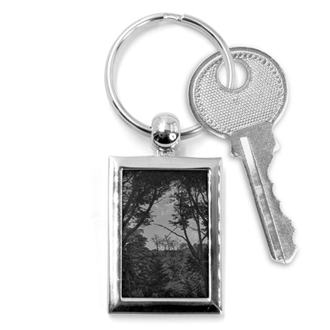 Patagonia Forest, Nahuel Huapi National Park, Rio Negro, Argentina Key Chain (Rectangle) from ArtsNow.com Front