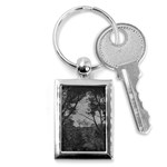 Patagonia Forest, Nahuel Huapi National Park, Rio Negro, Argentina Key Chain (Rectangle)