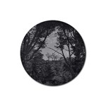 Patagonia Forest, Nahuel Huapi National Park, Rio Negro, Argentina Rubber Coaster (Round)