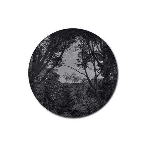 Patagonia Forest, Nahuel Huapi National Park, Rio Negro, Argentina Rubber Round Coaster (4 pack) from ArtsNow.com Front