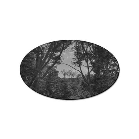 Patagonia Forest, Nahuel Huapi National Park, Rio Negro, Argentina Sticker (Oval) from ArtsNow.com Front