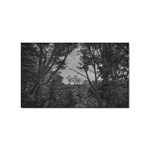 Patagonia Forest, Nahuel Huapi National Park, Rio Negro, Argentina Sticker (Rectangular)