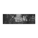 Patagonia Forest, Nahuel Huapi National Park, Rio Negro, Argentina Sticker (Bumper)