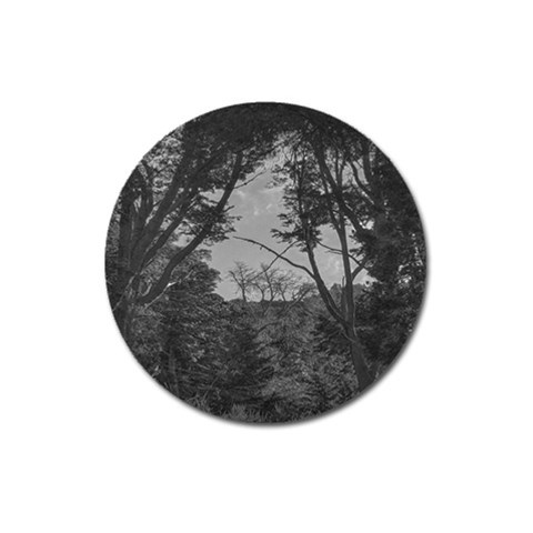 Patagonia Forest, Nahuel Huapi National Park, Rio Negro, Argentina Magnet 3  (Round) from ArtsNow.com Front