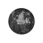 Patagonia Forest, Nahuel Huapi National Park, Rio Negro, Argentina Magnet 3  (Round)