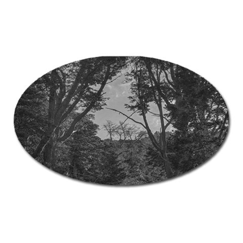 Patagonia Forest, Nahuel Huapi National Park, Rio Negro, Argentina Oval Magnet from ArtsNow.com Front