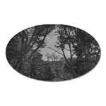 Patagonia Forest, Nahuel Huapi National Park, Rio Negro, Argentina Oval Magnet