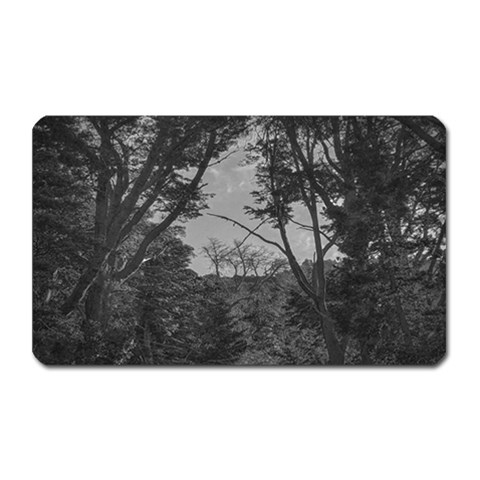 Patagonia Forest, Nahuel Huapi National Park, Rio Negro, Argentina Magnet (Rectangular) from ArtsNow.com Front