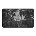 Patagonia Forest, Nahuel Huapi National Park, Rio Negro, Argentina Magnet (Rectangular)