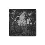 Patagonia Forest, Nahuel Huapi National Park, Rio Negro, Argentina Square Magnet