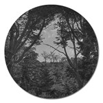 Patagonia Forest, Nahuel Huapi National Park, Rio Negro, Argentina Magnet 5  (Round)