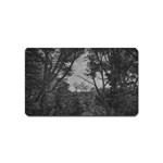 Patagonia Forest, Nahuel Huapi National Park, Rio Negro, Argentina Magnet (Name Card)