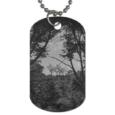 Patagonia Forest, Nahuel Huapi National Park, Rio Negro, Argentina Dog Tag (One Side) from ArtsNow.com Front