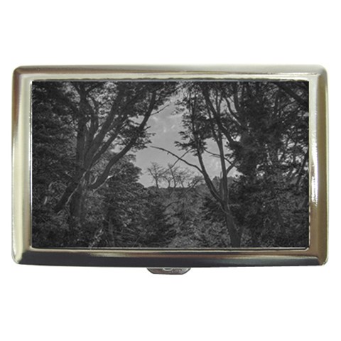 Patagonia Forest, Nahuel Huapi National Park, Rio Negro, Argentina Cigarette Money Case from ArtsNow.com Front