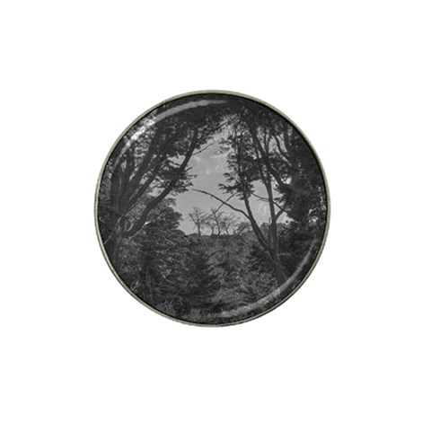 Patagonia Forest, Nahuel Huapi National Park, Rio Negro, Argentina Hat Clip Ball Marker from ArtsNow.com Front