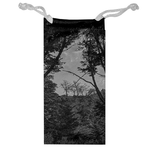 Patagonia Forest, Nahuel Huapi National Park, Rio Negro, Argentina Jewelry Bag from ArtsNow.com Front