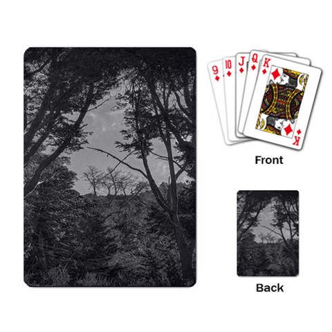 Patagonia Forest, Nahuel Huapi National Park, Rio Negro, Argentina Playing Cards Single Design (Rectangle) from ArtsNow.com Back