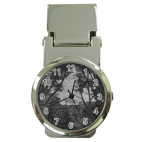 Patagonia Forest, Nahuel Huapi National Park, Rio Negro, Argentina Money Clip Watches from ArtsNow.com Front