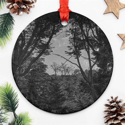 Patagonia Forest, Nahuel Huapi National Park, Rio Negro, Argentina Round Ornament (Two Sides) from ArtsNow.com Front