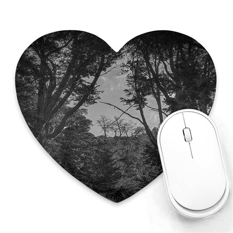 Patagonia Forest, Nahuel Huapi National Park, Rio Negro, Argentina Heart Mousepad from ArtsNow.com Front