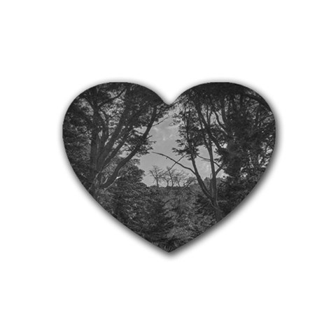 Patagonia Forest, Nahuel Huapi National Park, Rio Negro, Argentina Rubber Coaster (Heart) from ArtsNow.com Front