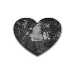 Patagonia Forest, Nahuel Huapi National Park, Rio Negro, Argentina Rubber Coaster (Heart)