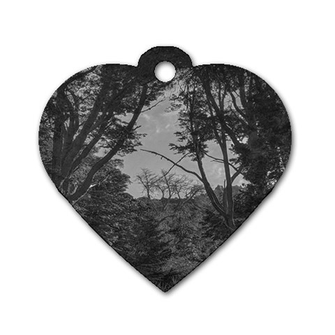 Patagonia Forest, Nahuel Huapi National Park, Rio Negro, Argentina Dog Tag Heart (Two Sides) from ArtsNow.com Front