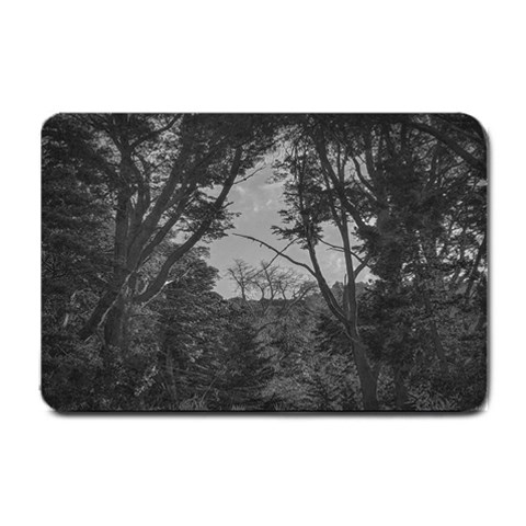 Patagonia Forest, Nahuel Huapi National Park, Rio Negro, Argentina Small Doormat from ArtsNow.com 24 x16  Door Mat