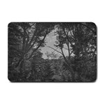 Patagonia Forest, Nahuel Huapi National Park, Rio Negro, Argentina Small Doormat