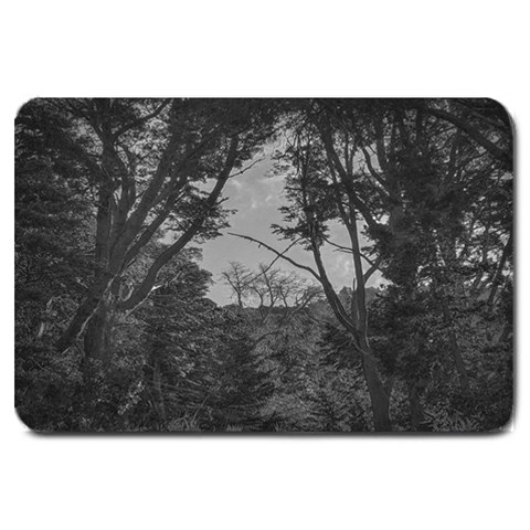 Patagonia Forest, Nahuel Huapi National Park, Rio Negro, Argentina Large Doormat from ArtsNow.com 30 x20  Door Mat