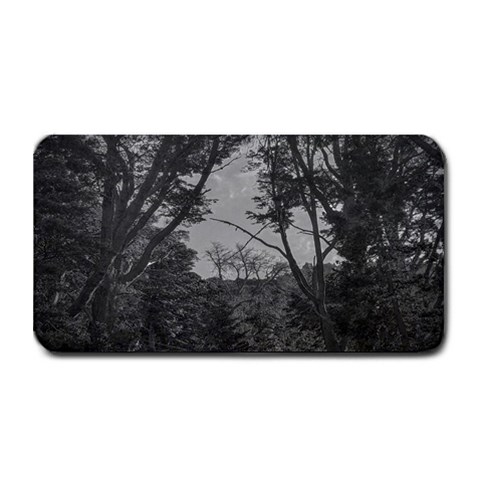 Patagonia Forest, Nahuel Huapi National Park, Rio Negro, Argentina Medium Bar Mat from ArtsNow.com 16 x8.5  Bar Mat