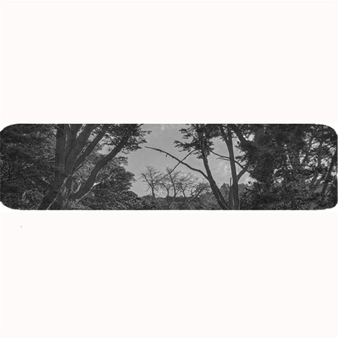 Patagonia Forest, Nahuel Huapi National Park, Rio Negro, Argentina Large Bar Mat from ArtsNow.com 32 x8.5  Bar Mat