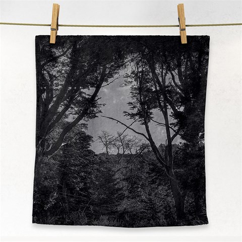 Patagonia Forest, Nahuel Huapi National Park, Rio Negro, Argentina Face Towel from ArtsNow.com Front