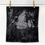 Patagonia Forest, Nahuel Huapi National Park, Rio Negro, Argentina Face Towel