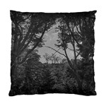 Patagonia Forest, Nahuel Huapi National Park, Rio Negro, Argentina Standard Cushion Case (One Side)