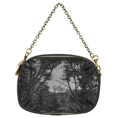 Patagonia Forest, Nahuel Huapi National Park, Rio Negro, Argentina Chain Purse (Two Sides) from ArtsNow.com Front