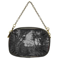 Patagonia Forest, Nahuel Huapi National Park, Rio Negro, Argentina Chain Purse (Two Sides) from ArtsNow.com Front