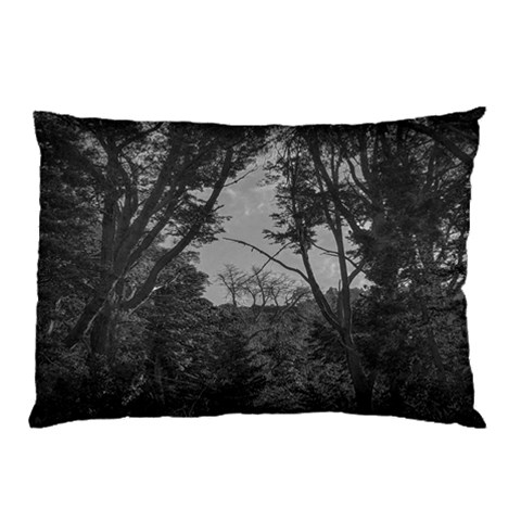 Patagonia Forest, Nahuel Huapi National Park, Rio Negro, Argentina Pillow Case from ArtsNow.com 26.62 x18.9  Pillow Case