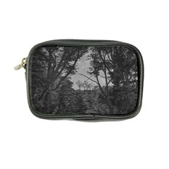 Patagonia Forest, Nahuel Huapi National Park, Rio Negro, Argentina Coin Purse from ArtsNow.com Front