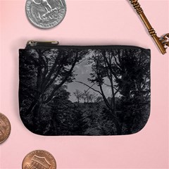 Patagonia Forest, Nahuel Huapi National Park, Rio Negro, Argentina Mini Coin Purse from ArtsNow.com Front