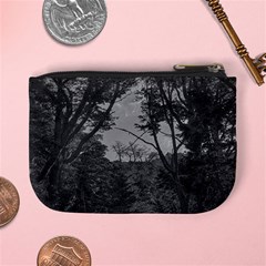 Patagonia Forest, Nahuel Huapi National Park, Rio Negro, Argentina Mini Coin Purse from ArtsNow.com Back