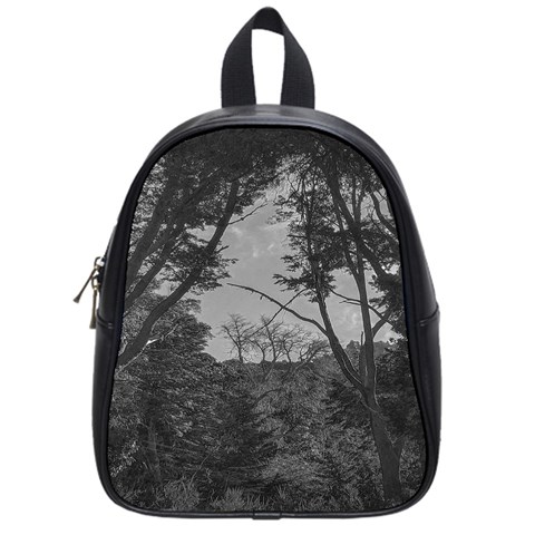 Patagonia Forest, Nahuel Huapi National Park, Rio Negro, Argentina School Bag (Small) from ArtsNow.com Front