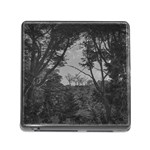 Patagonia Forest, Nahuel Huapi National Park, Rio Negro, Argentina Memory Card Reader (Square 5 Slot)