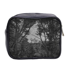 Patagonia Forest, Nahuel Huapi National Park, Rio Negro, Argentina Mini Toiletries Bag (Two Sides) from ArtsNow.com Back