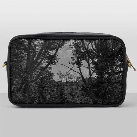 Patagonia Forest, Nahuel Huapi National Park, Rio Negro, Argentina Toiletries Bag (One Side) from ArtsNow.com Front