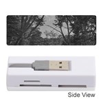 Patagonia Forest, Nahuel Huapi National Park, Rio Negro, Argentina Memory Card Reader (Stick)