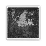 Patagonia Forest, Nahuel Huapi National Park, Rio Negro, Argentina Memory Card Reader (Square)