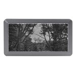 Patagonia Forest, Nahuel Huapi National Park, Rio Negro, Argentina Memory Card Reader (Mini)